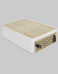 ULKA Nano White with Gold grid â€“ Desktop Nail Dust Collector 800m3/h