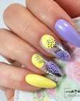 Gel Polish - Pudding, 10 ml
